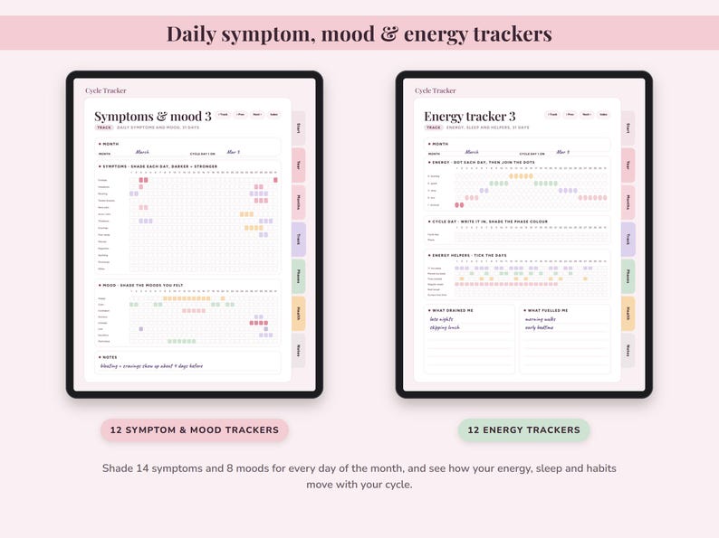 Cycle Tracker Journal Printable, Period Log, Menstrual Calendar, PMS Symptom Mood Planner, Undated Digital image 5