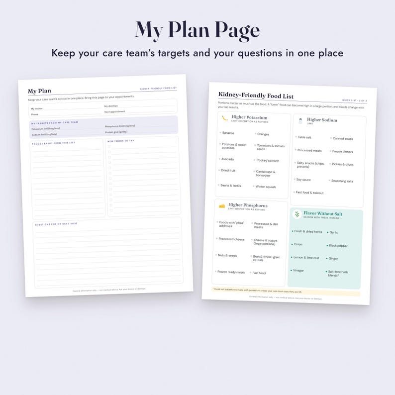 Kidney Diet Food List Printable, CKD Low Potassium Foods, Grocery List, Letter A4 image 8