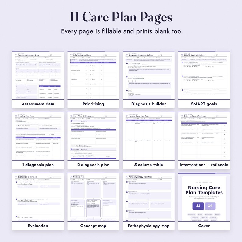 Nursing Care Plan Template, Fillable Student Care Plan, Concept Map, Nursing Diagnosis, SMART Goals Bild 3