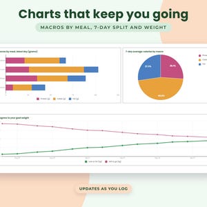Kaloriräknare Google Sheets, Makrospårningsark, Matlogg, Proteinmål, Viktminskningsinstrumentpanel bild 3