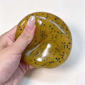 May include: A round, translucent, golden-yellow slime with a glossy, smooth texture. The substance is embedded with numerous small, scattered black specks that resemble seeds, creating a textured appearance within the clear, jelly-like material.