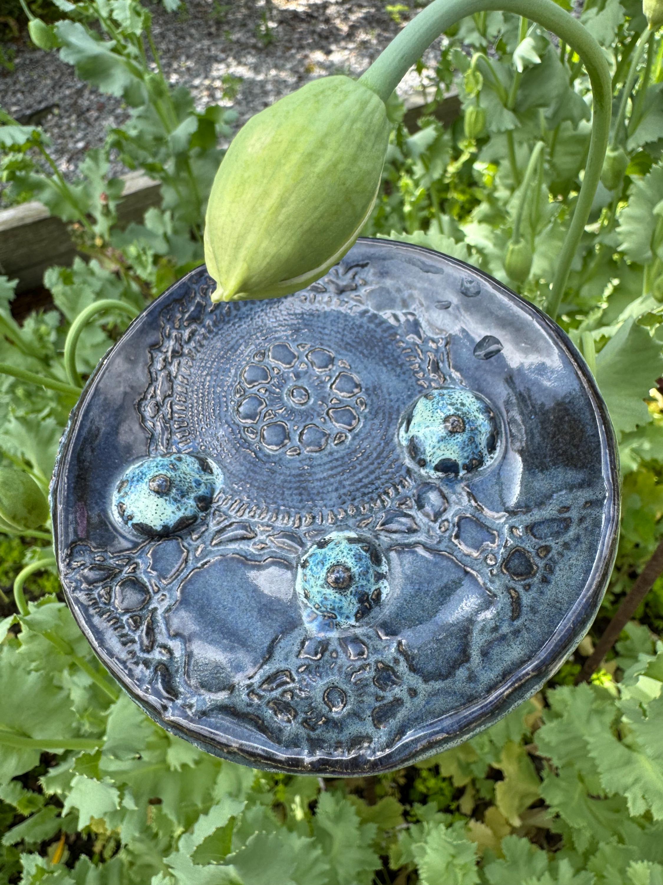 Échelle Flottante Pour Abeilles | Abreuvoir à Insectes | Station D