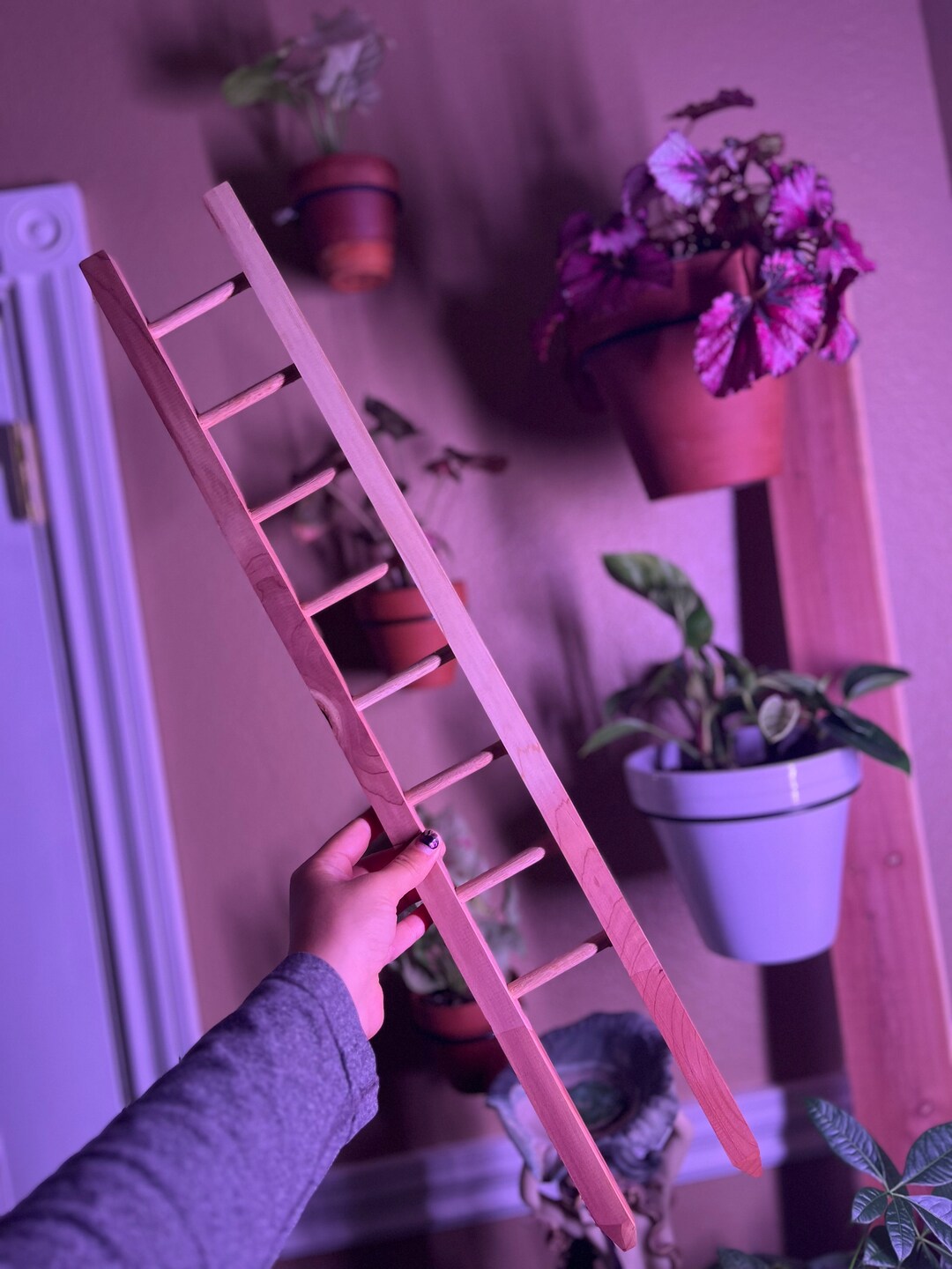 Plant Ladder SIZE MEDIUM SHORT Trellis for Indoor Plant Wood Gifts ...