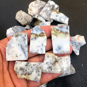 Puede incluir: Una colección de piedras brutas de ópalo dendrítico blanco, gris y negro. Las piedras tienen formas irregulares y una variedad de tamaños.