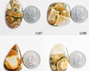 May include: Four oval-shaped, polished, natural stone cabochons with brown, white, and yellow patterns. Each stone is next to a US quarter for size comparison.