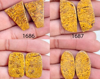 Mariam Jasper Agate Cabochon Pair: AAA Quality Jewelry Making