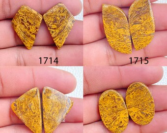 Mariam Jasper Agate Cabochon Pair: Healing Gemstone Jewelry