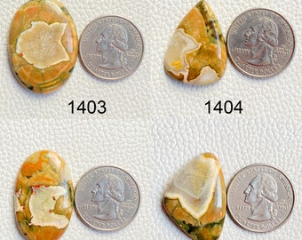 May include: Four oval and triangular shaped polished stones with brown, green, and white patterns. Each stone is next to a US quarter for size comparison. The stones are labeled 1403, 1404, 1405, and 1406.