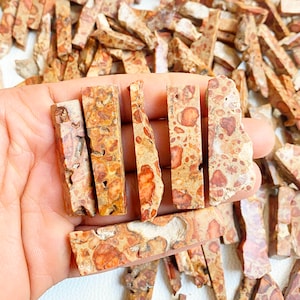 May include: Close-up of five rectangular pieces of red and brown jasper. The jasper has a speckled pattern and is translucent. The pieces are held in a hand.