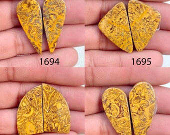 Mariam Jasper Agate Cabochon Pair: AAA Quality Jewelry Making
