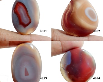 Könnte beinhalten: Vier Achat-Cabochons in verschiedenen Farben und Mustern, darunter Rot, Braun, Weiß und Grau. Die Cabochons sind oval und tropfenförmig. Die Cabochons sind mit den Nummern 4831, 4832, 4833 und 4834 gekennzeichnet.