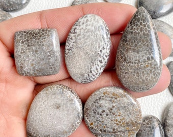 Cabujón de coral fósil negro AAA: Piedra preciosa para la fabricación de joyas.