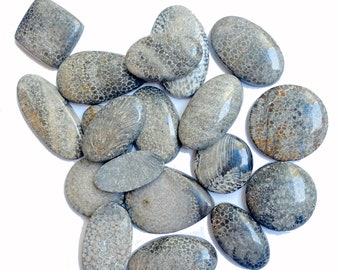 Cabujón de coral fósil negro AAA: Piedra preciosa para la fabricación de joyas.