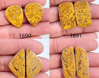 Natural Mariam Jasper Pair Cabochon: AAA Quality, Various Shapes