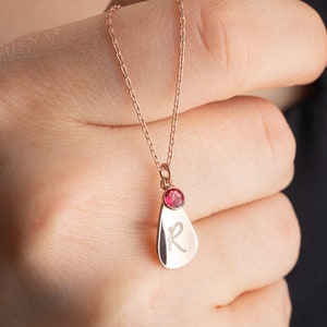 Delicado collar con etiqueta con inicial de piedra de nacimiento, collar con inicial de piedra de nacimiento y collar con letra de piedra de nacimiento, collar con inicial y piedra de nacimiento