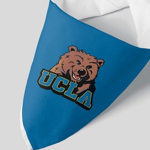 🇺🇸USA🇺🇸 Bruin Bear - The official mascot of UCLA 