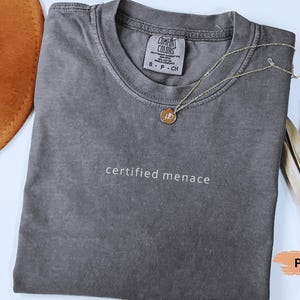 Comfort Colors Certified Menace Shirt, Funny Humor Shirt Funny Girls Shirt  Sarcasm Shirt, Trendy Womens Shirt  Statement Shir Sarcastic Tee