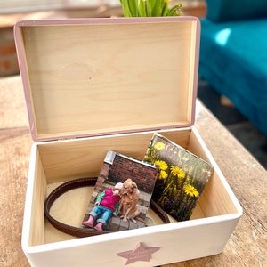 Handpainted Dog Breed Memory Box, Wooden Keepsake Box for Dogs, Dog Loss, Dog Memorial Gift image 8
