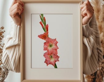 Gladioli Print / Limited Edition Botanical Giclée Print / Wall Art / Watercolour Painting / Watercolor Mounted Print / Home Decor