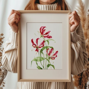 Flame Lily Print / Limited Edition Botanical Giclée Print / Wall Art / Watercolour Painting / Watercolor Mounted Print / Home Decor image 1