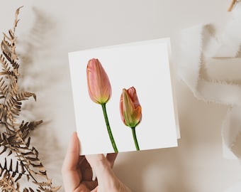 Tulip Card, Flower Greeting Card, Gift, Blank inside, Botanical Square Card, Fine Art Cards