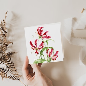 Flame Lily Card, Flower Greeting Card, Gift, Blank inside, Botanical Square Card, Fine Art Cards
