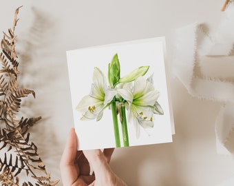 Amaryllis Card, Flower Greeting Card, Christmas Card, Blank inside, Botanical Square Card, Fine Art Cards