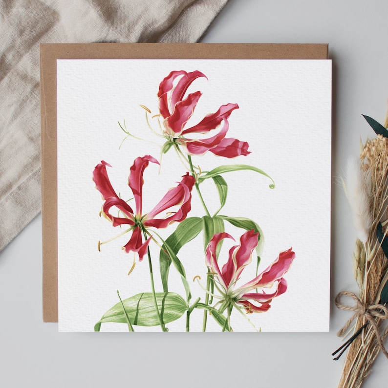 Flame Lily Card, Flower Greeting Card, Gift, Blank inside, Botanical Square Card, Fine Art Cards image 2