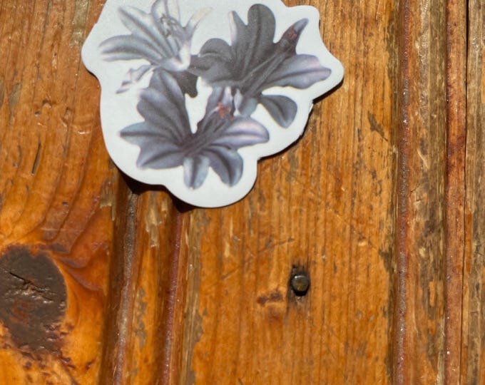 Cute blue flower sticker