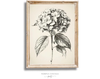 Elegant Vintage Hydrangea - Botanical Pencil Sketch Art Print, Kitchen Wall Art Print, Minimalist Artwork, Farmhouse Home Decor,Downloadable