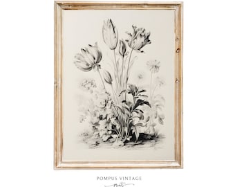 Botanical drawing vintage flower art botanical sketch art print neutral printable art Vintage botanical prints PRINTABLE vintage art flowers