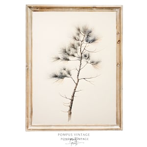 Pine Tree Printable Wall Art Christmas Pine Tree Branch Vintage Christmas Tree Print Pine Tree Art Print Pine Branches Neutral Christmas Art