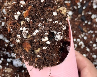 Chunky Soilless Mix for Aroids | Pothos, Philodendron, Hoya | Gnat-Free & Peat-Free