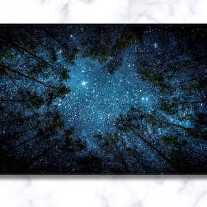 Starry Sky Canvas Art: Forest Night View Wall Decor