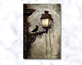 Arthur Rackham Crow Canvas Poster: Dark Occult Home Decor