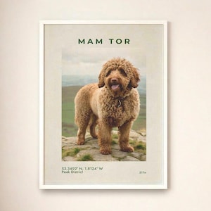 Puede incluir: Una taza de cerámica hecha a mano con un esmalte moteado de color crema. La taza presenta un cuerpo ancho y redondeado y un asa robusta. El interior es de un tono más oscuro y terroso. Adecuada para bebidas frías o calientes.