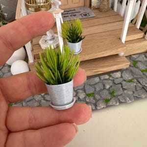 Könnte beinhalten: Eine Miniatur-Topfpflanze mit leuchtend grünem Laub in einem hellgrauen Topf mit passender Untertasse. Die Pflanze wird vor einer Miniatur-Holzveranda mit einem Vogelkäfig und anderen dekorativen Elementen gehalten.