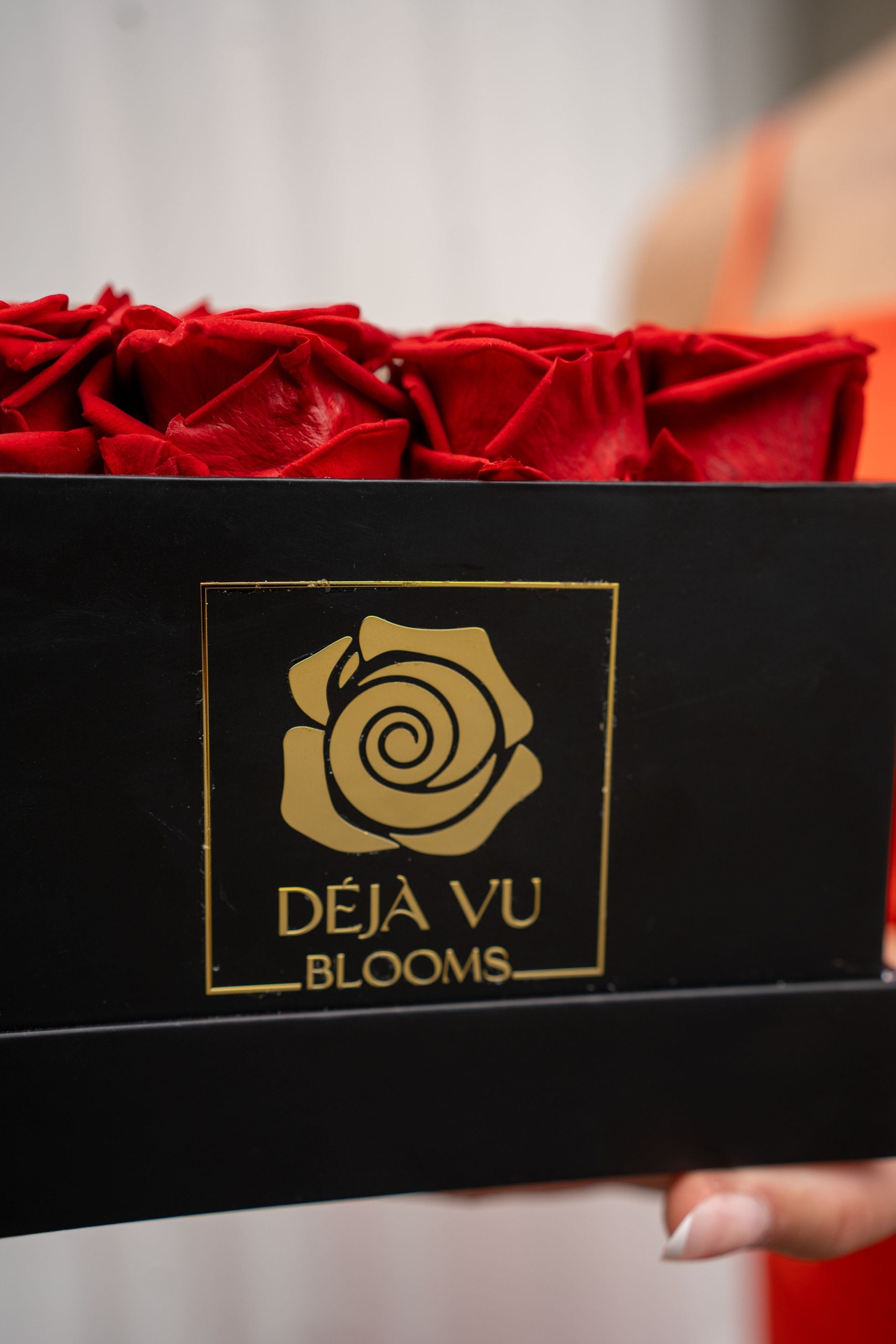 Box Of Roses Luxury Preserved Roses in Baby Blue (4 Rose Box) - Etsy