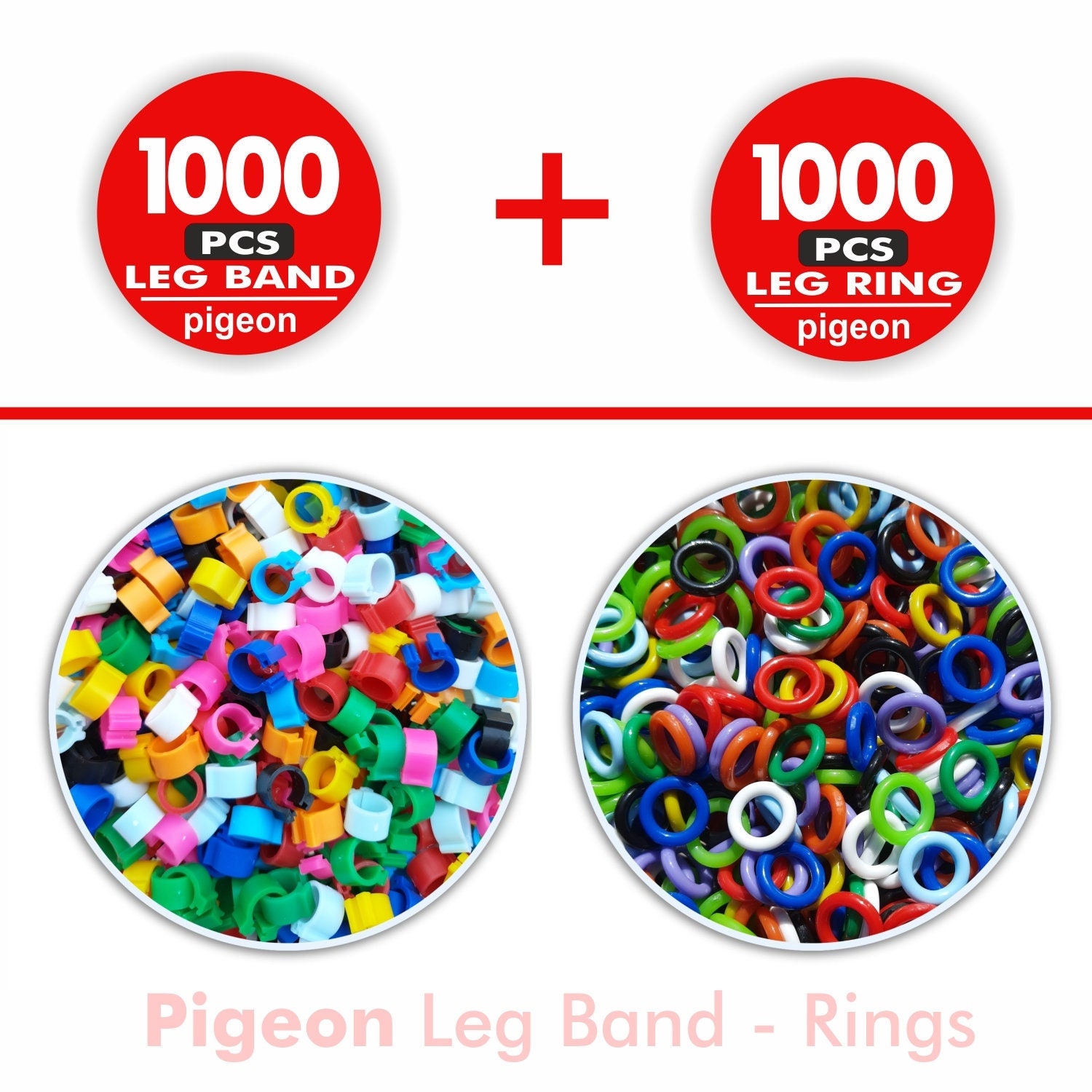 Buy Tvel Birds Ring | Dove- Pigeon Leg Rubber Ring,Ring for Pigeon, Big  Pigeons Mixed Color Bird Rings Leg Bands, Adilaid Pigeon (30) Pcs Online at  Best Prices in India - JioMart.