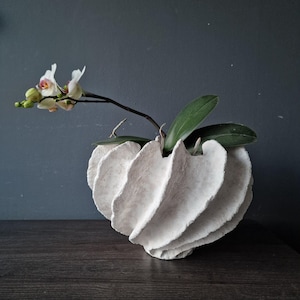 Puede incluir: Un jarrón escultórico blanco y texturizado con un diseño en espiral, que contiene una planta de orquídea. La orquídea tiene flores blancas y rosas y hojas verdes. El jarrón está sobre una superficie de madera oscura contra una pared gris.