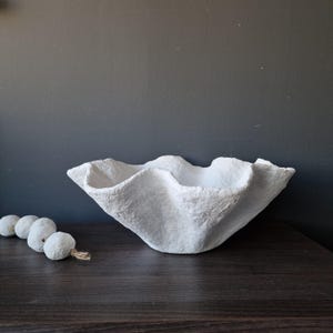 May include: White ceramic planter with a wavy, organic shape, resembling a seashell. The planter is sitting on a dark wood surface.