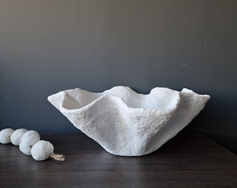 May include: White ceramic planter with a wavy, organic shape, resembling a seashell. The planter is sitting on a dark wood surface.