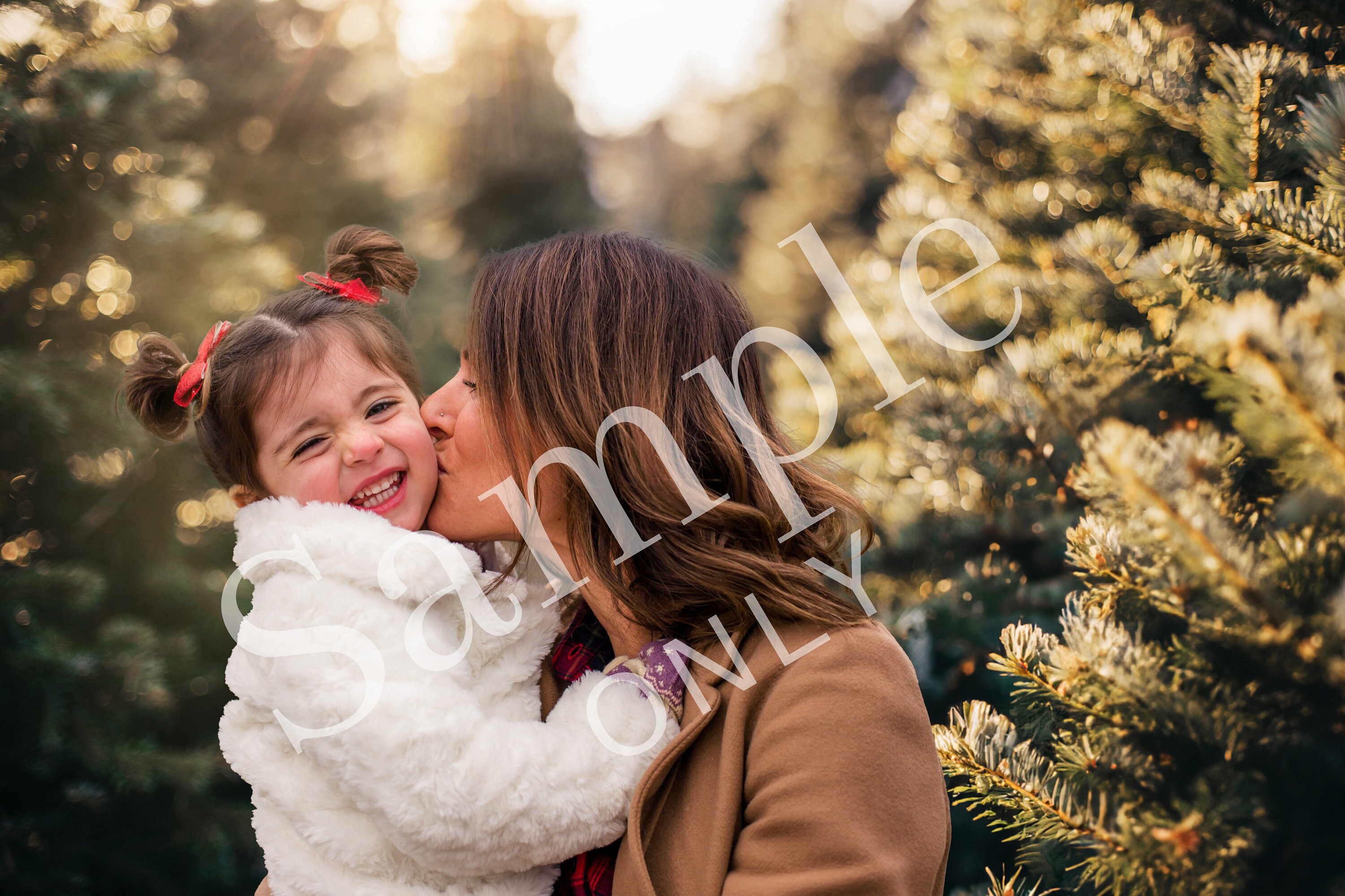 Set of 4 Christmas Tree Farm Digital Backdrop, Christmas Background
