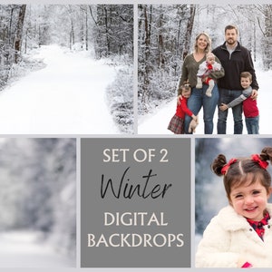 Winter Digital Backdrop Set of 2, Snowy Background, Photoshop Composite, Blurry Background, Christmas Photo,Photo Edit, Christmas Backdrop