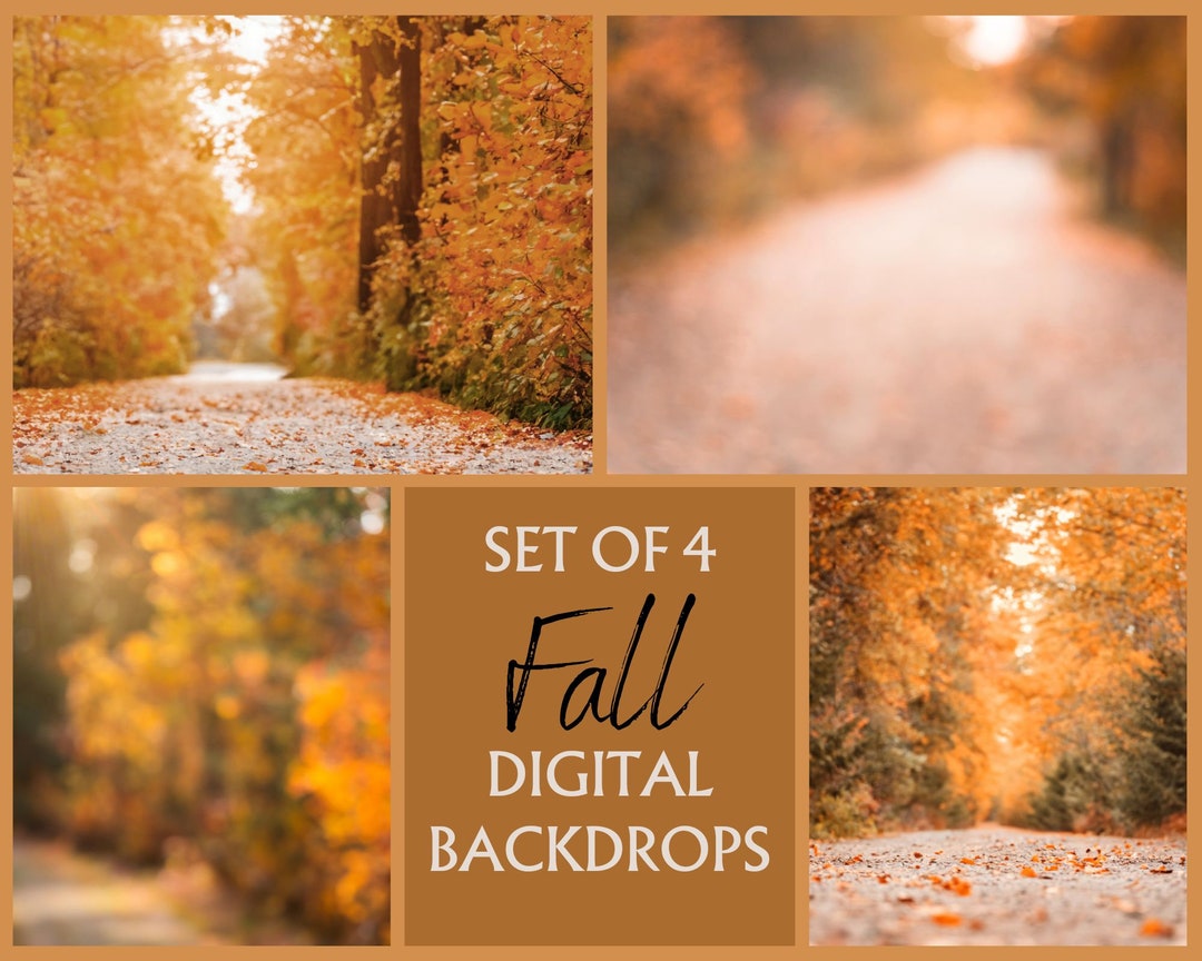 Set of 4 Fall Digital Backdrop, Fall Background, Photoshop Composite ...