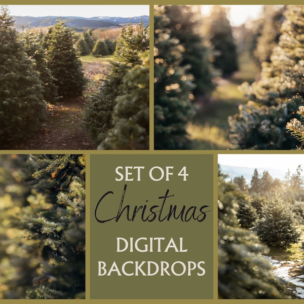 Set di 4 fondali digitali di Christmas Tree Farm, sfondo natalizio, Photoshop Composite, sfondo sfocato, foto di Natale, modifica foto, NATALE