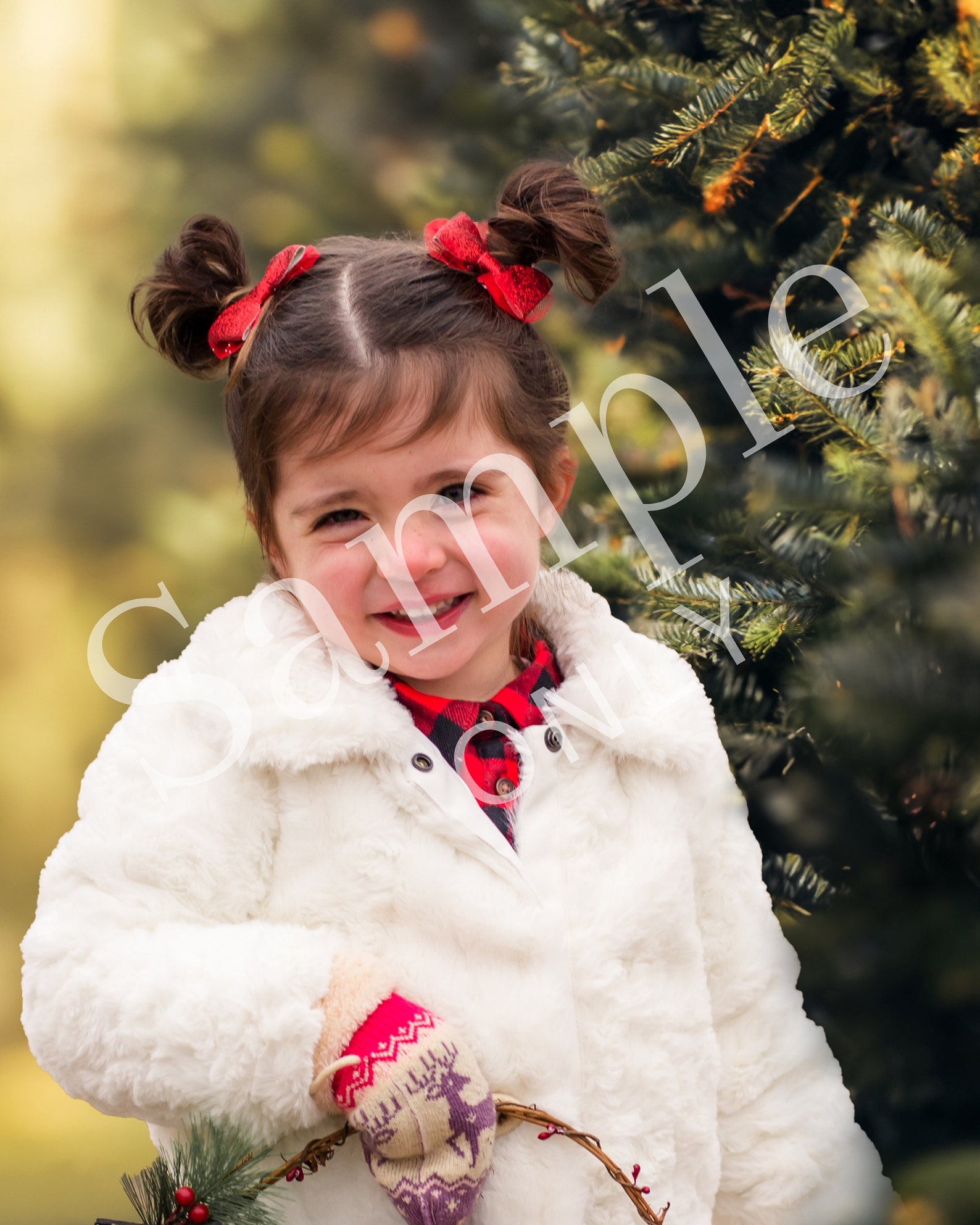 Set of 4 Christmas Tree Farm Digital Backdrop, Christmas Background ...