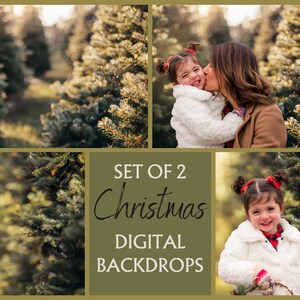 2 Christmas Tree Farm Digital Backdrop, Christmas Background, Photoshop Composite, Blurry Background, Christmas Photo,Photo Edit,XMAS
