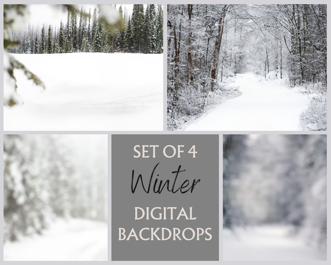 Winter Digital Backdrop Set of 4, Snowy Background, Photoshop Composite ...