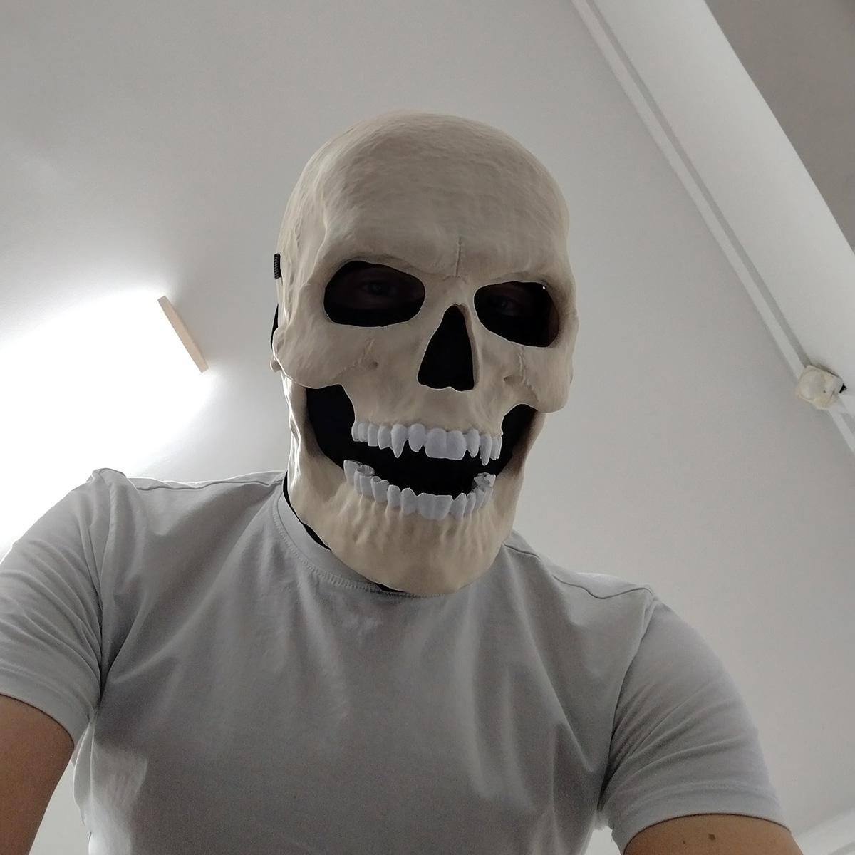 Horror-Shop Totenschädel Maske Deluxe – Mit Beweglichem Kiefer, Aus Latex, Handbemalt, Für Halloween & Partys
